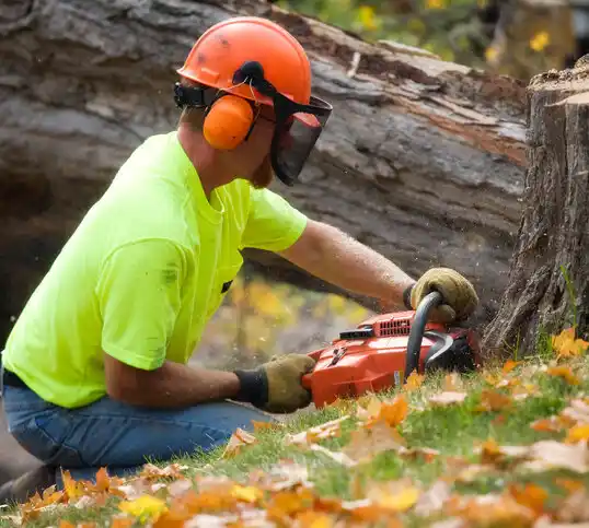 tree services Center Moriches